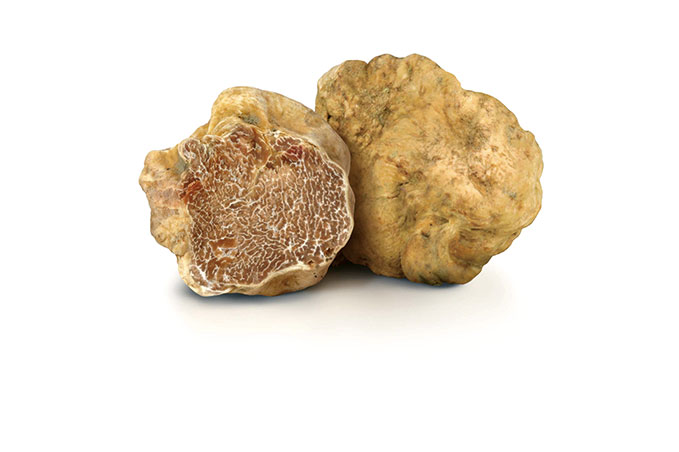 White spring truffle